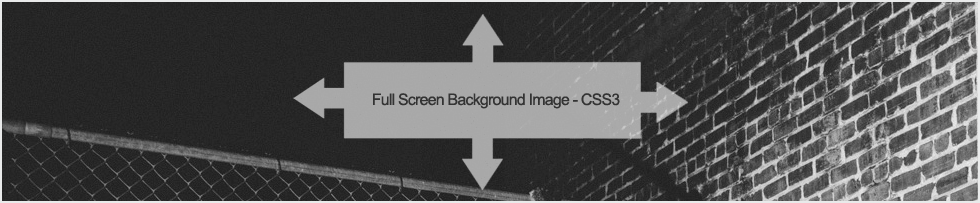 Full Screen Background Image Full Screen Background Image